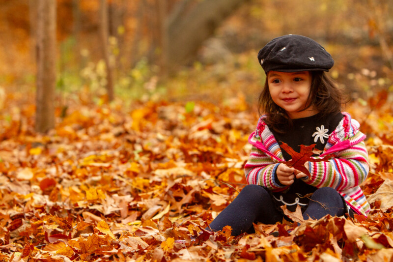 Baby in the Fall Leaves — Baby discovers fall colours — Tree, Trees, Fall, Autumn, leaves