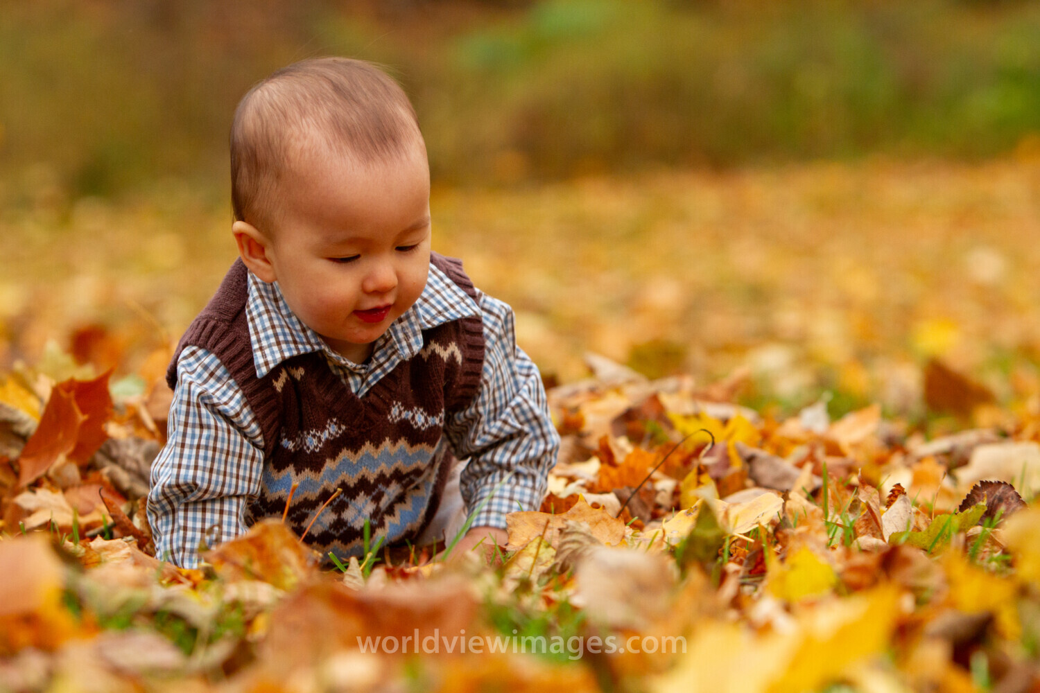 Baby in the Fall Leaves