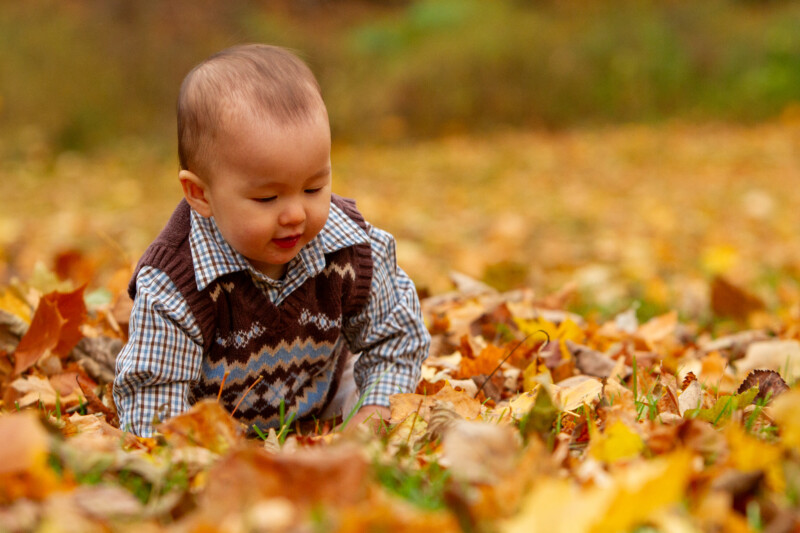 Baby in the Fall Leaves — Baby discovers fall colours — Tree, Trees, Fall, Autumn, leaves