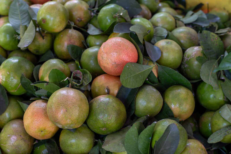 Photo: Citrus — Food, Fruit, oranges