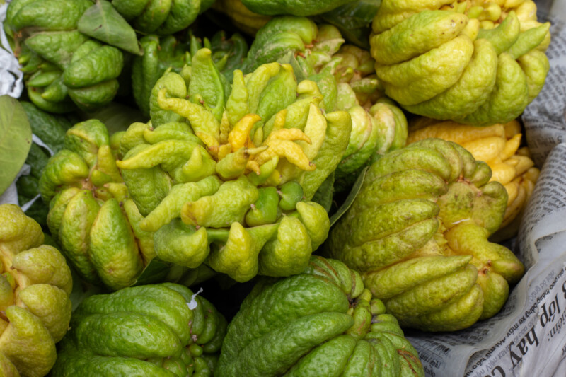 Buddha’s Hand Citrons — This fruit forms long, finger-like segments that look like a hand. — Buddha’s Hand citrons, fruit, SE Asia, tropical
