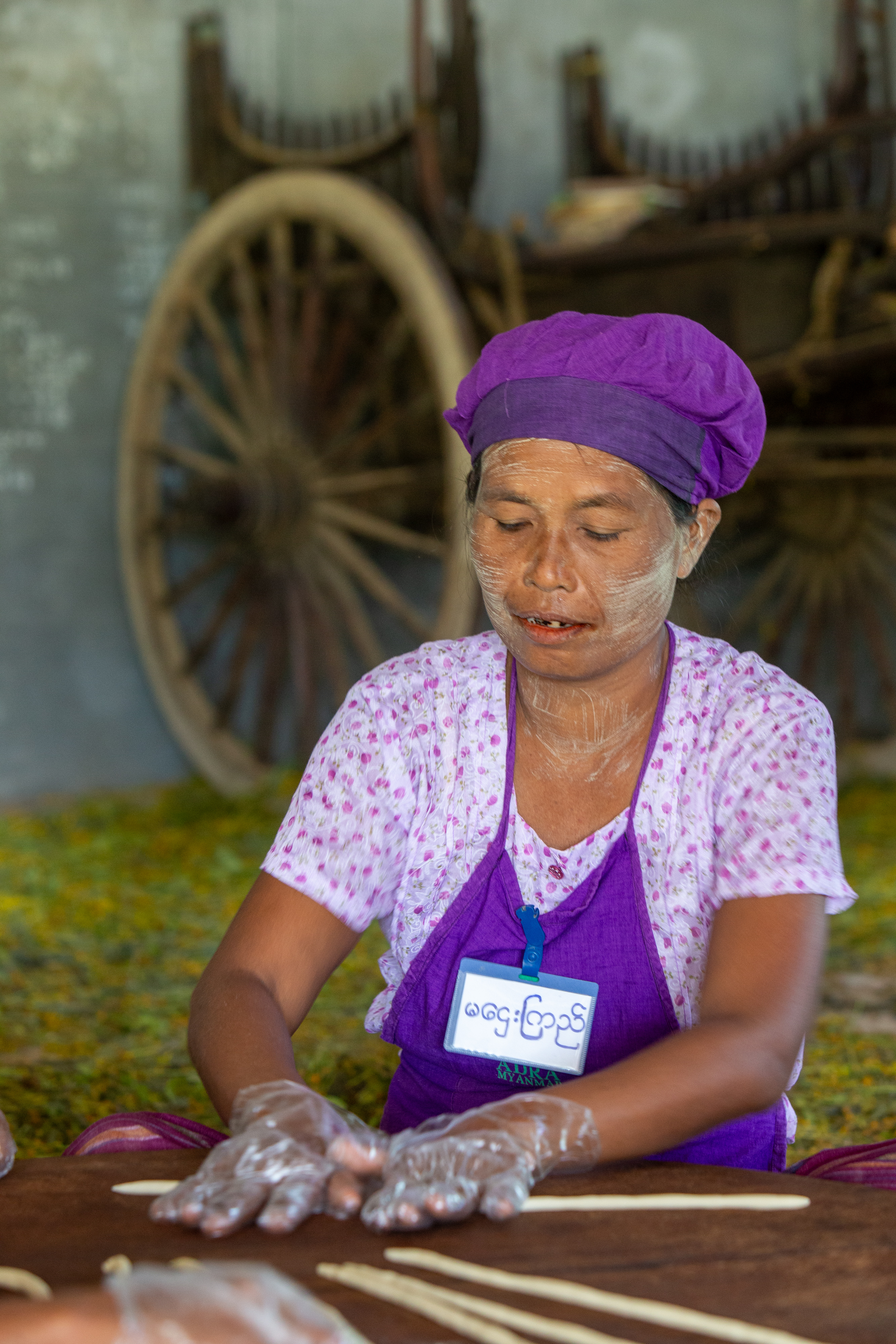 Income through Food Processing