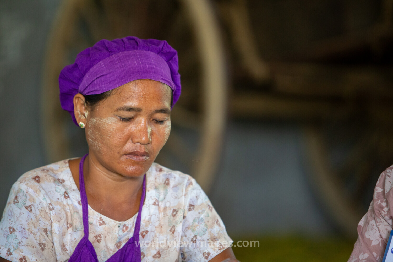 Income through Food Processing