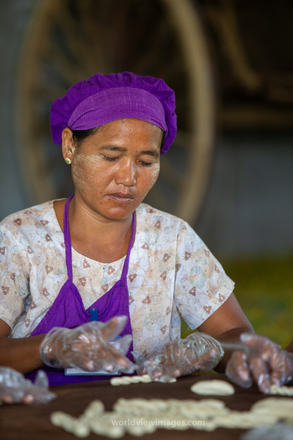 Income through Food Processing