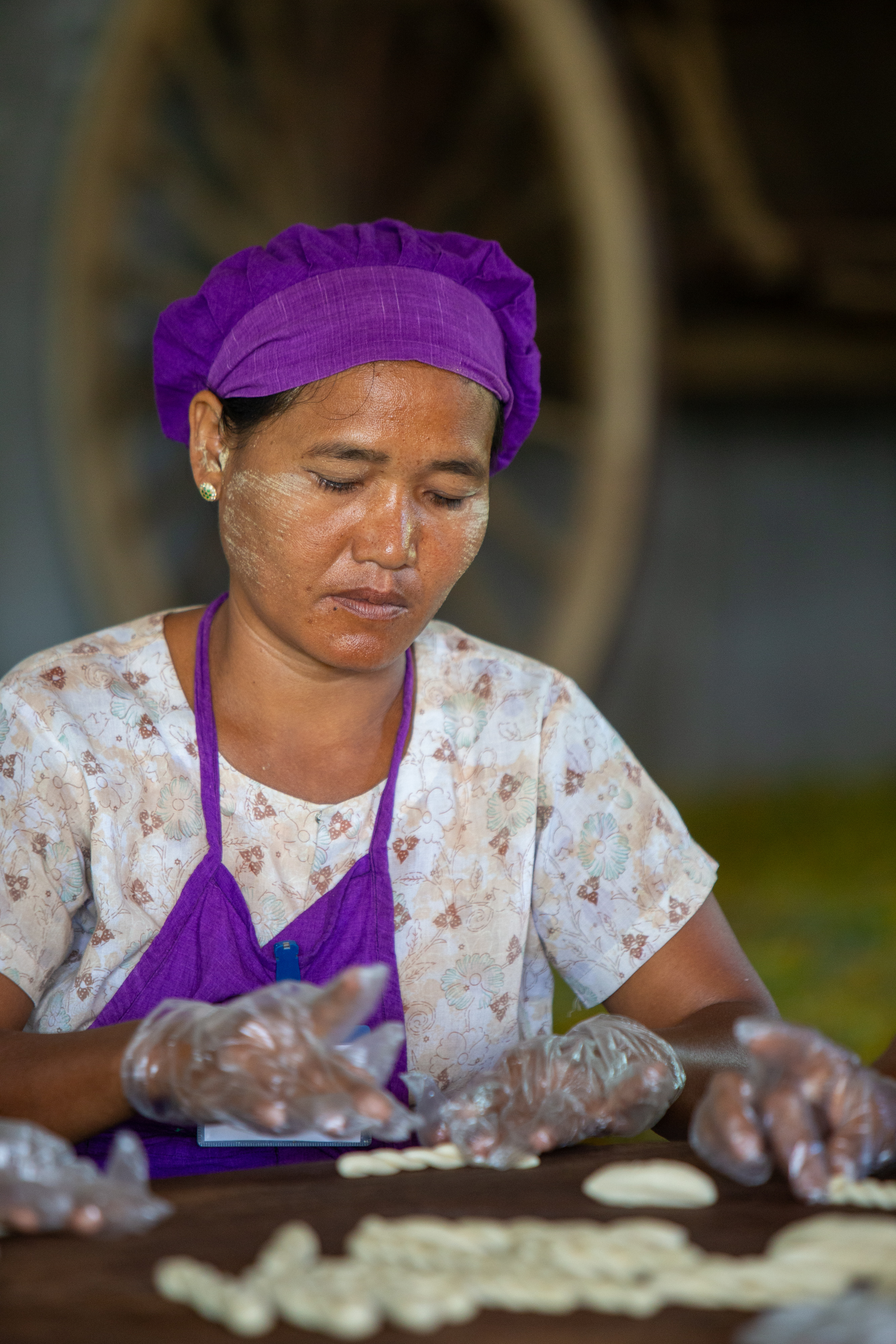 Income through Food Processing