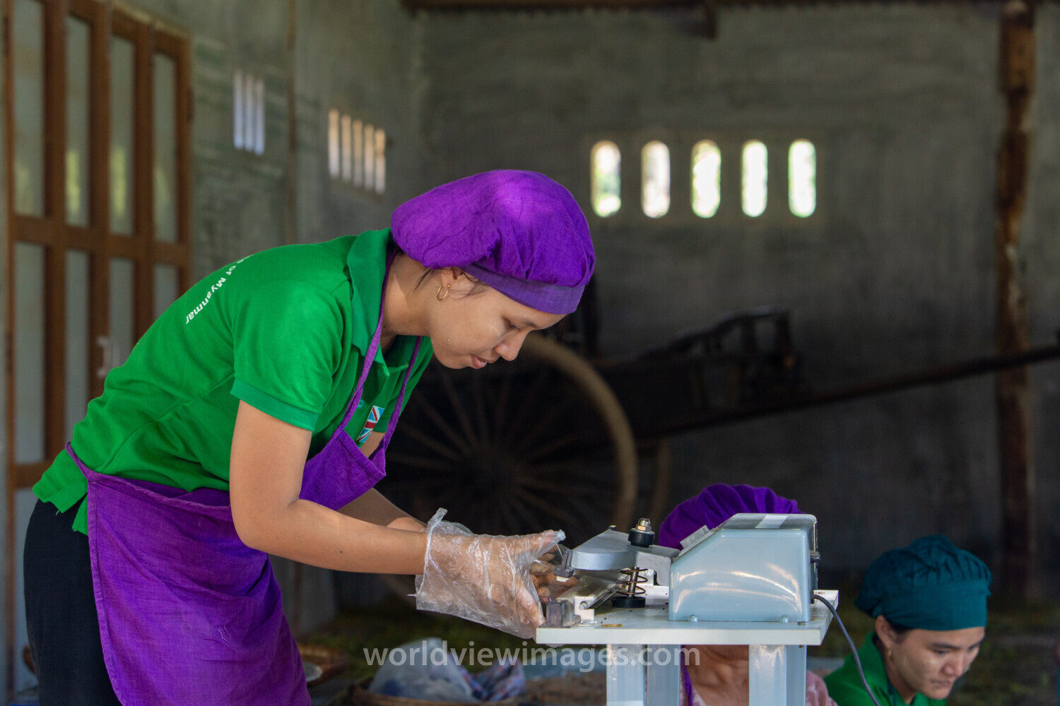 Income through Food Processing