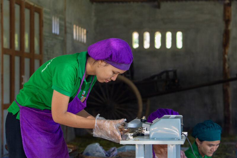 Income through Food Processing — Person, Portrait, Production, Profile Face, Technology