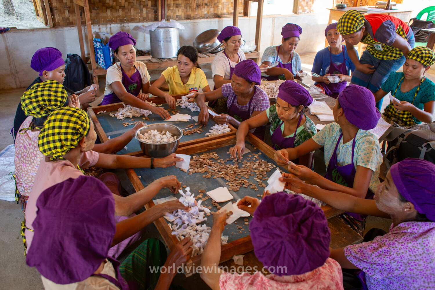 Income through Food Processing