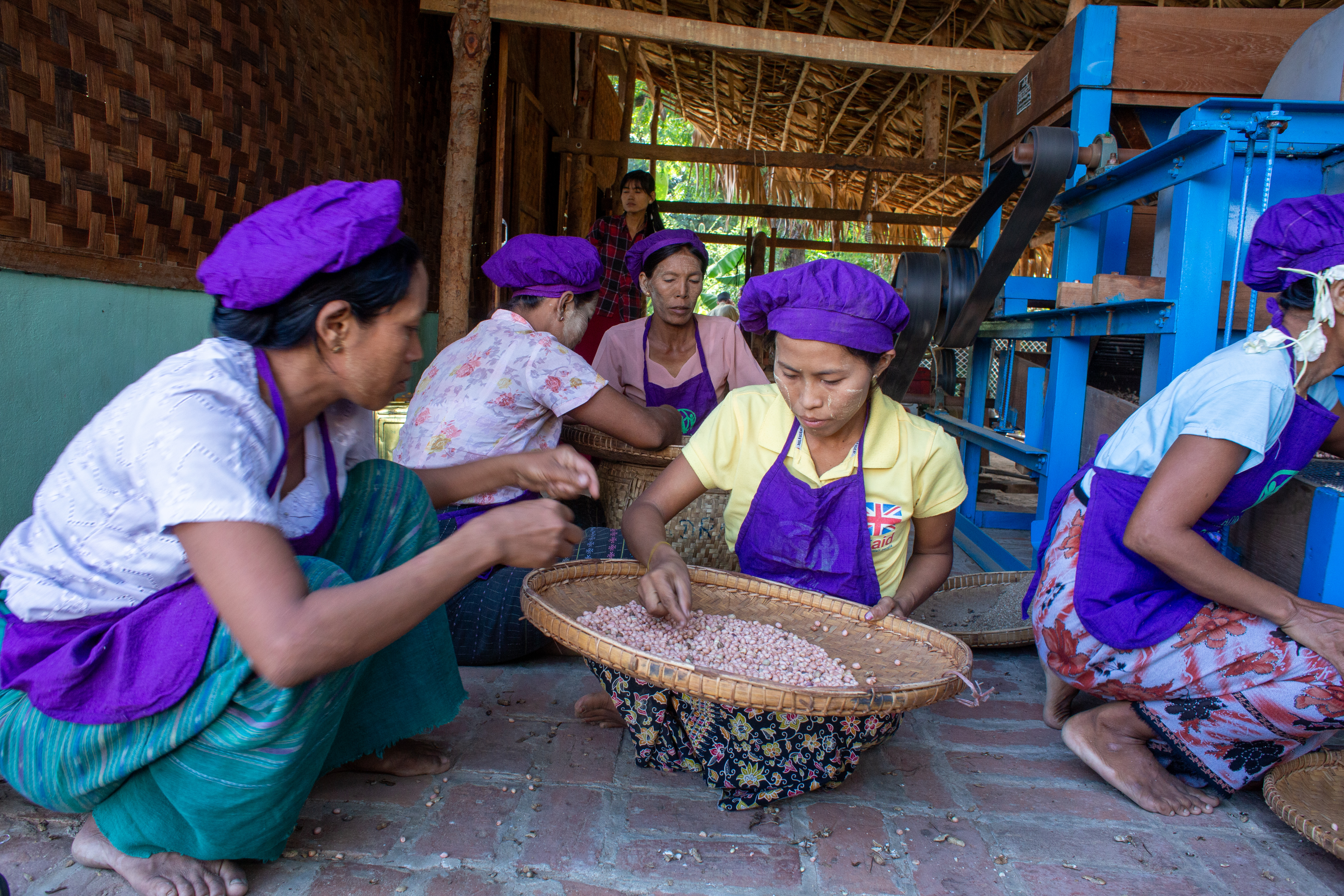 Peanut Processing