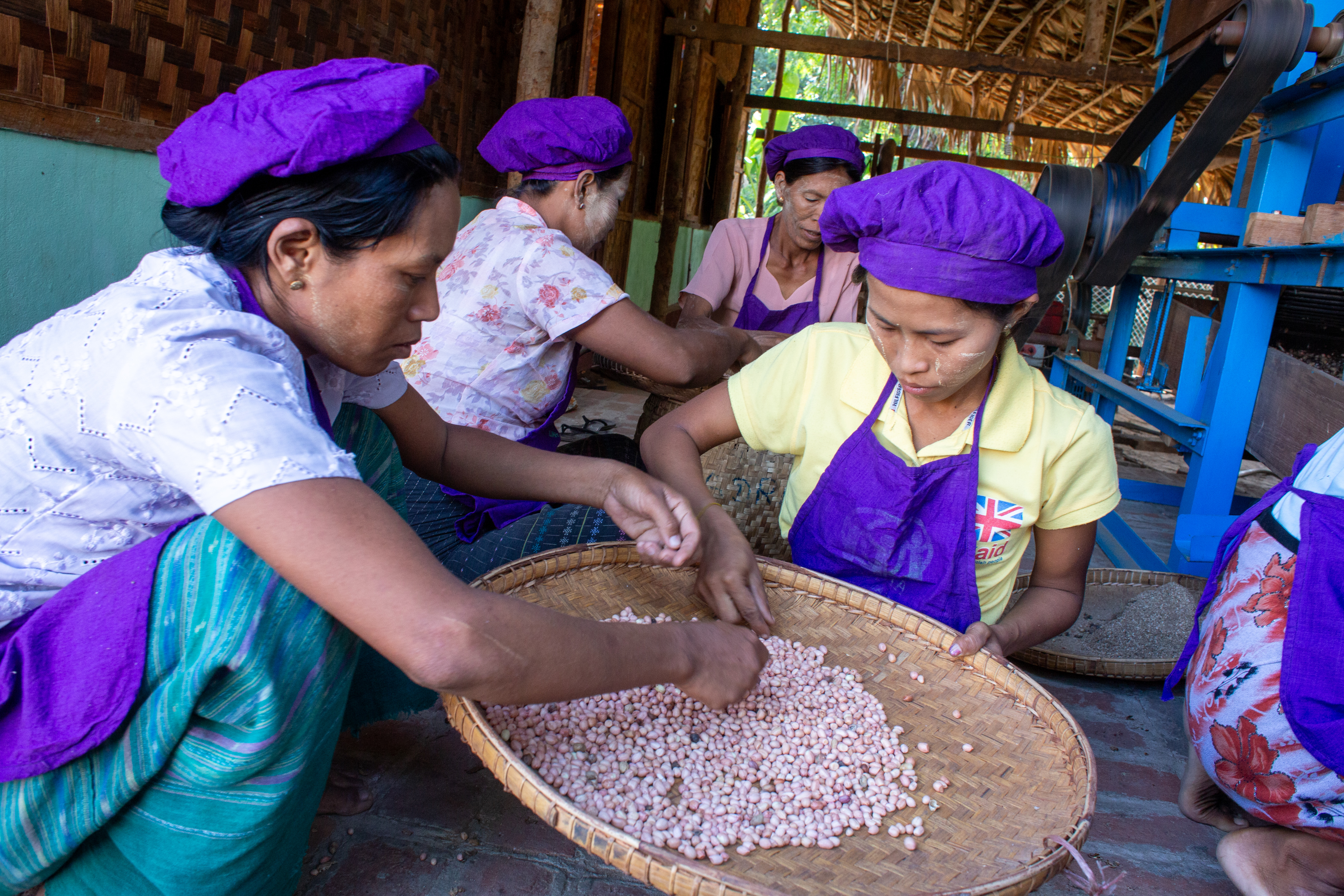 Peanut Processing