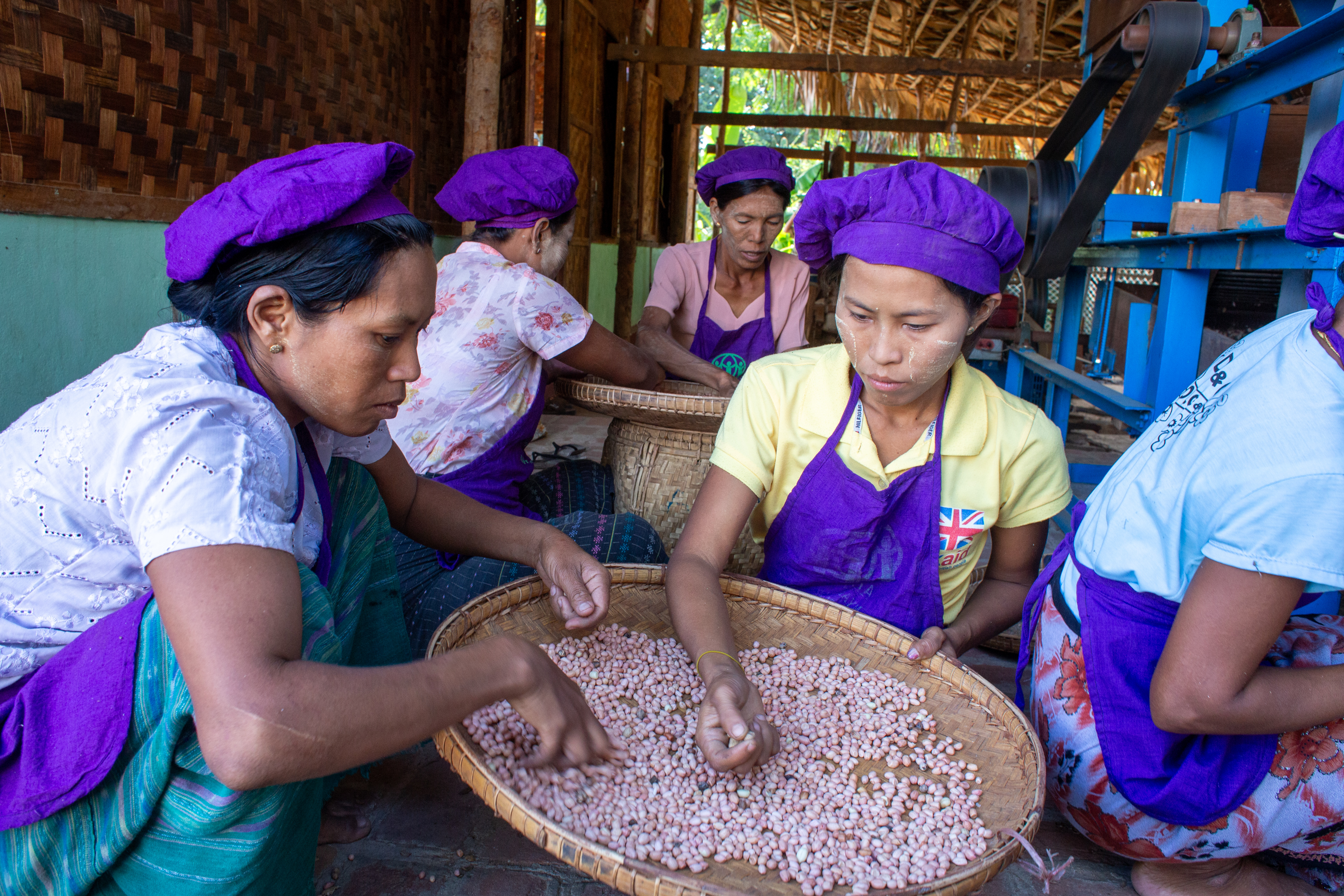 Peanut Processing