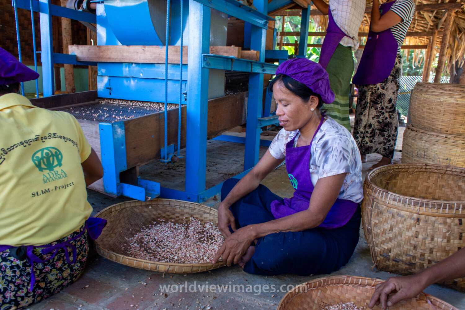 Peanut Processing
