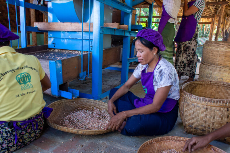 Peanut Processing — People in rural Myanmar learn new ways to make income through food processing. — City, Market, One Face, Person, Profile Face
