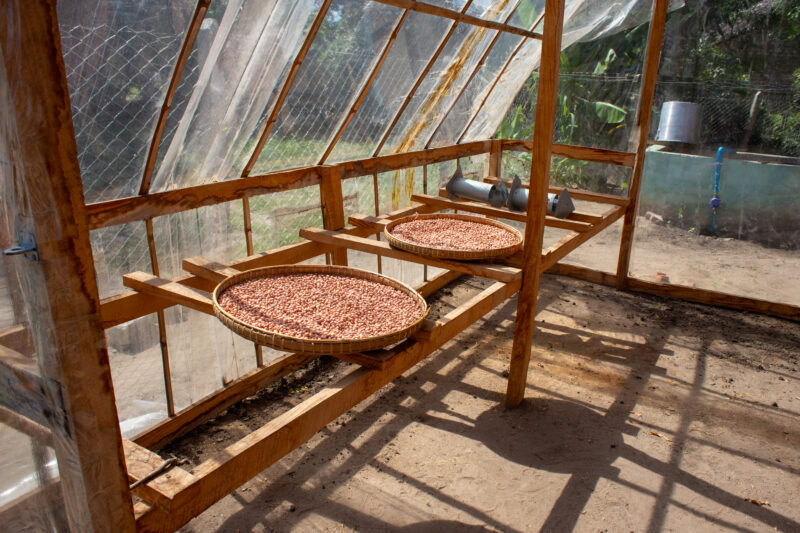 Food Drying in a Hothouse — Livelihood