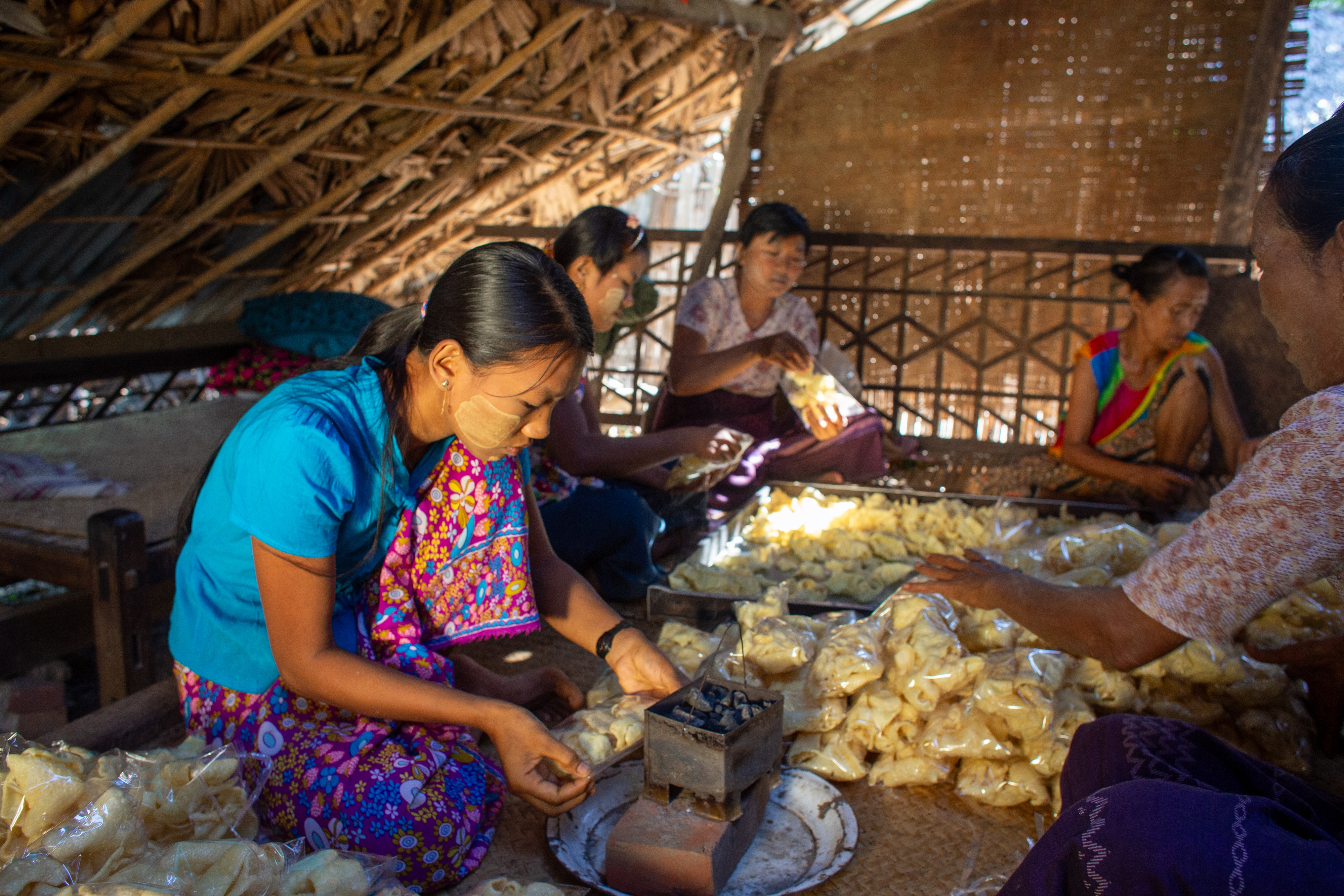 Income through Food Processing