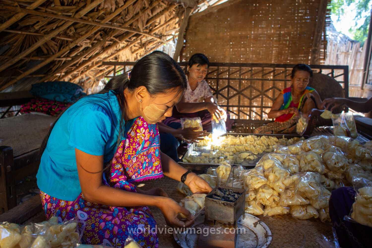 Income through Food Processing