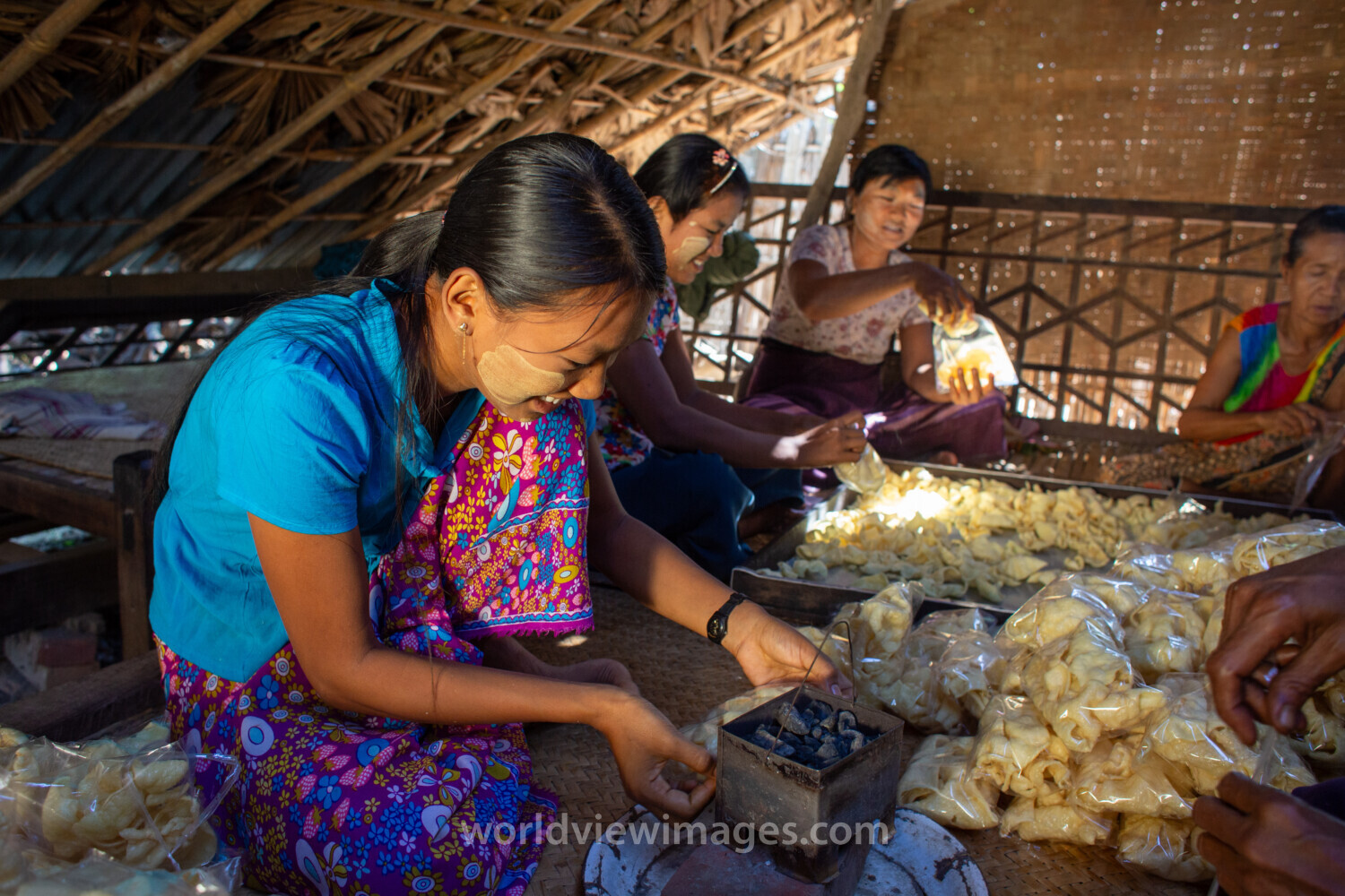 Income through Food Processing