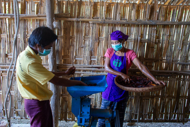 Hot Pepper Processing — People in rural Myanmar learn new ways to make income through food processing. — Adult, Eyes Open, Female, Frontal Face, One Face