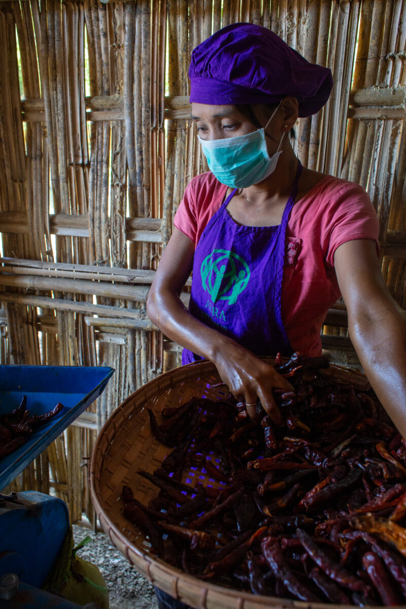 Hot Pepper Processing — People in rural Myanmar learn new ways to make income through food processing. — Adult, Eyes Open, Female, Frontal Face, One Face