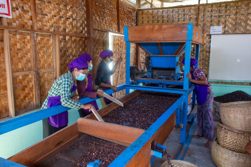 Processing Lentils — Child, Eyes Closed, Food, Frontal Face, Person