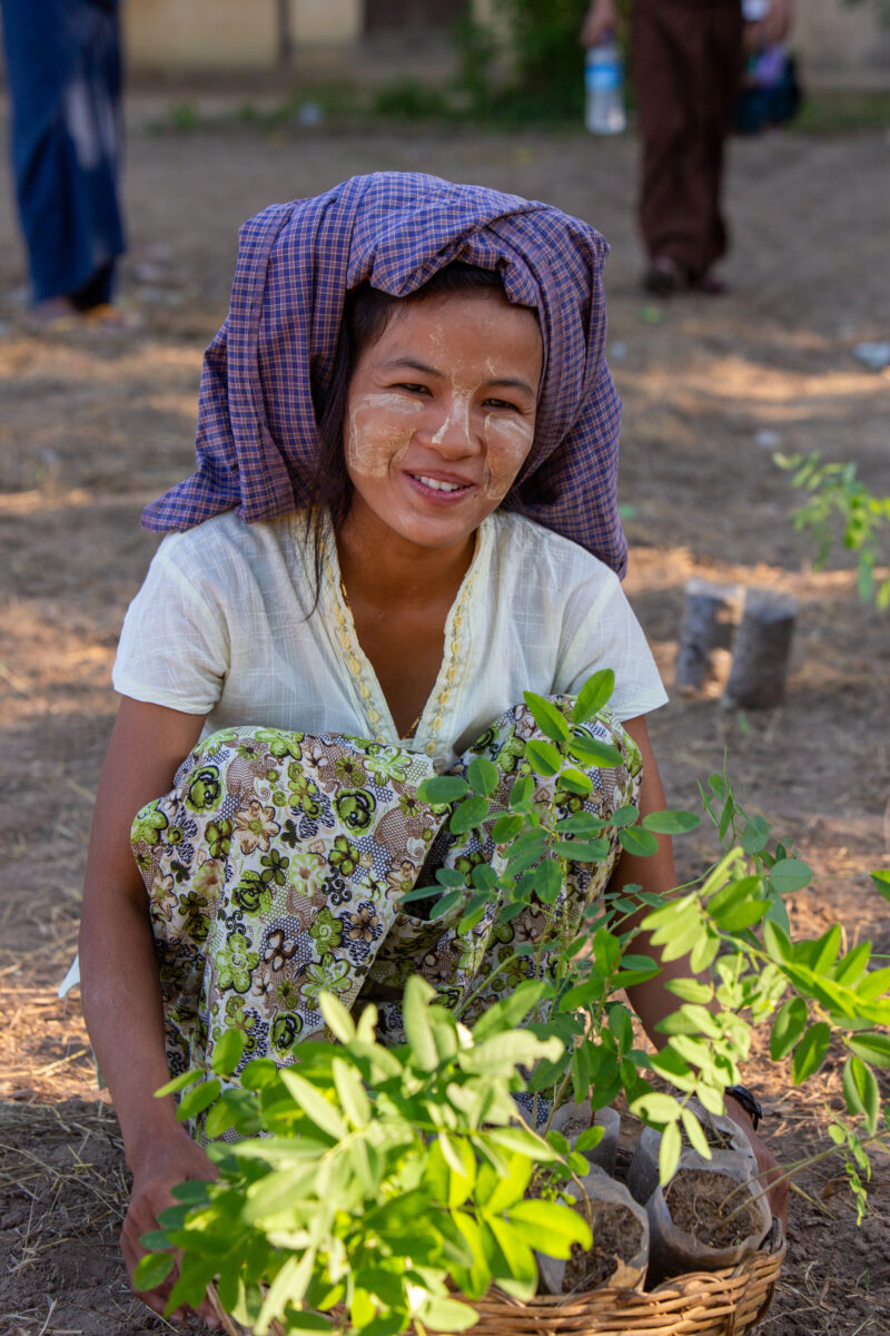 Fruit Tree Distribution — Women in Myanmar receive fruit tree seedlings from ADRA to help develop new financial security. — Child, Eyes Open, Female, Frontal...