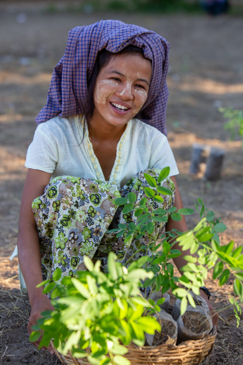 Fruit Tree Distribution — Women in Myanmar receive fruit tree seedlings from ADRA to help develop new financial security. — Eyes Open, Frontal Face, Nature, ...
