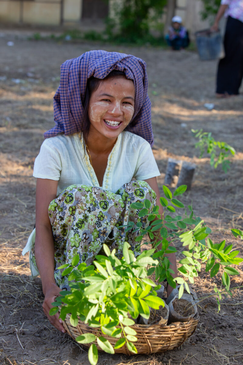 Fruit Tree Distribution — Women in Myanmar receive fruit tree seedlings from ADRA to help develop new financial security. — Agriculture, Eyes Open, Female, F...