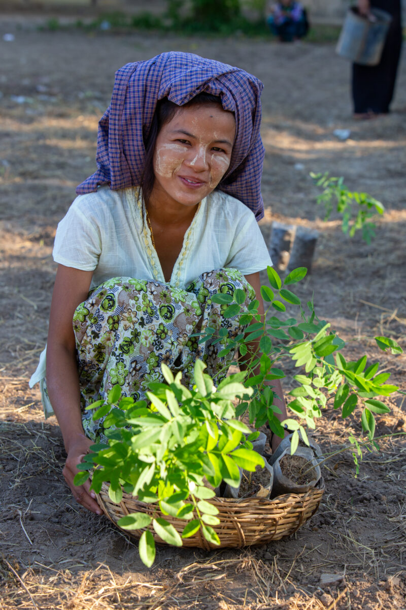 Fruit Tree Distribution — Women in Myanmar receive fruit tree seedlings from ADRA to help develop new financial security. — Eyes Open, Female, Frontal Face, ...