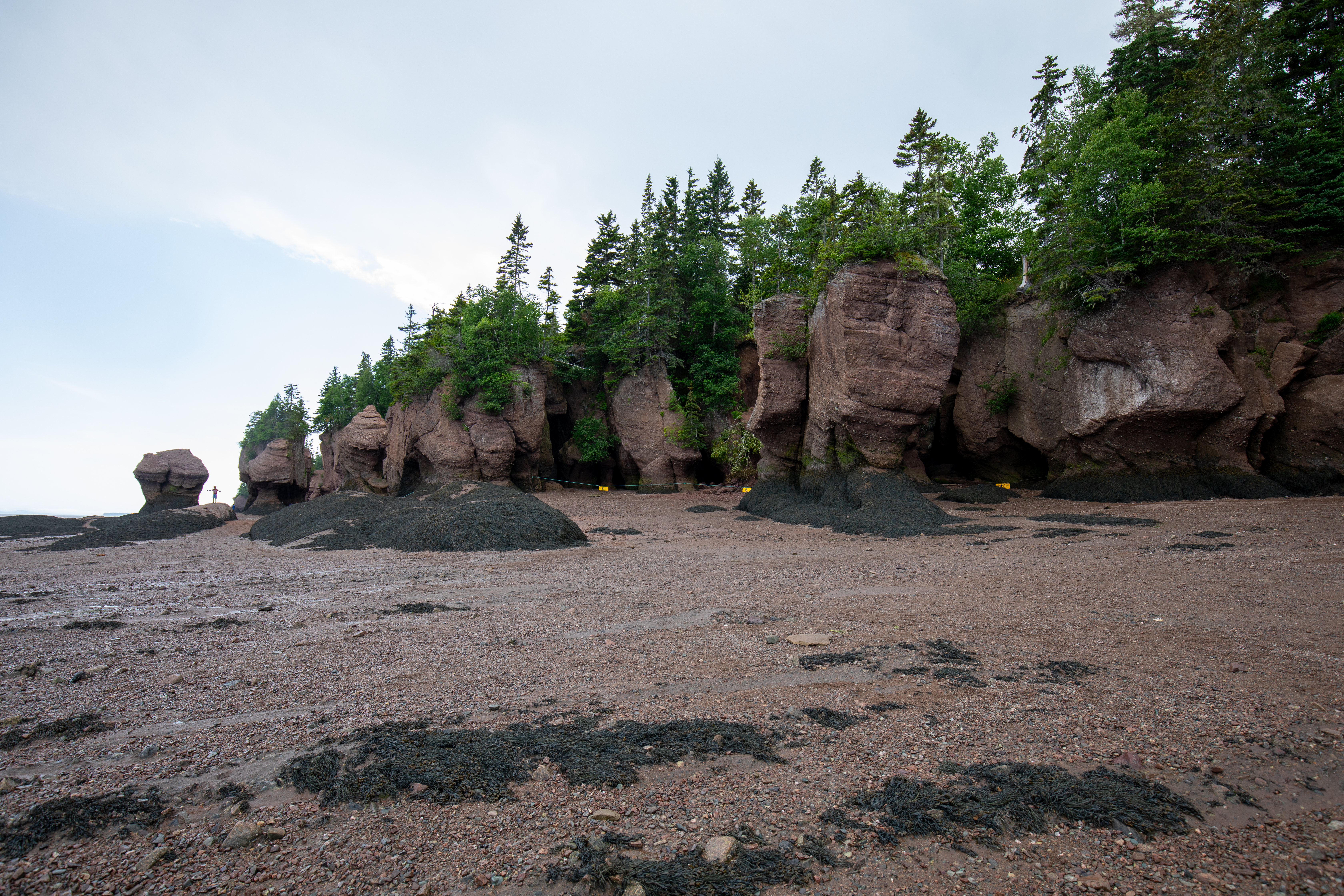 Hopewell Rocks Provincial Park