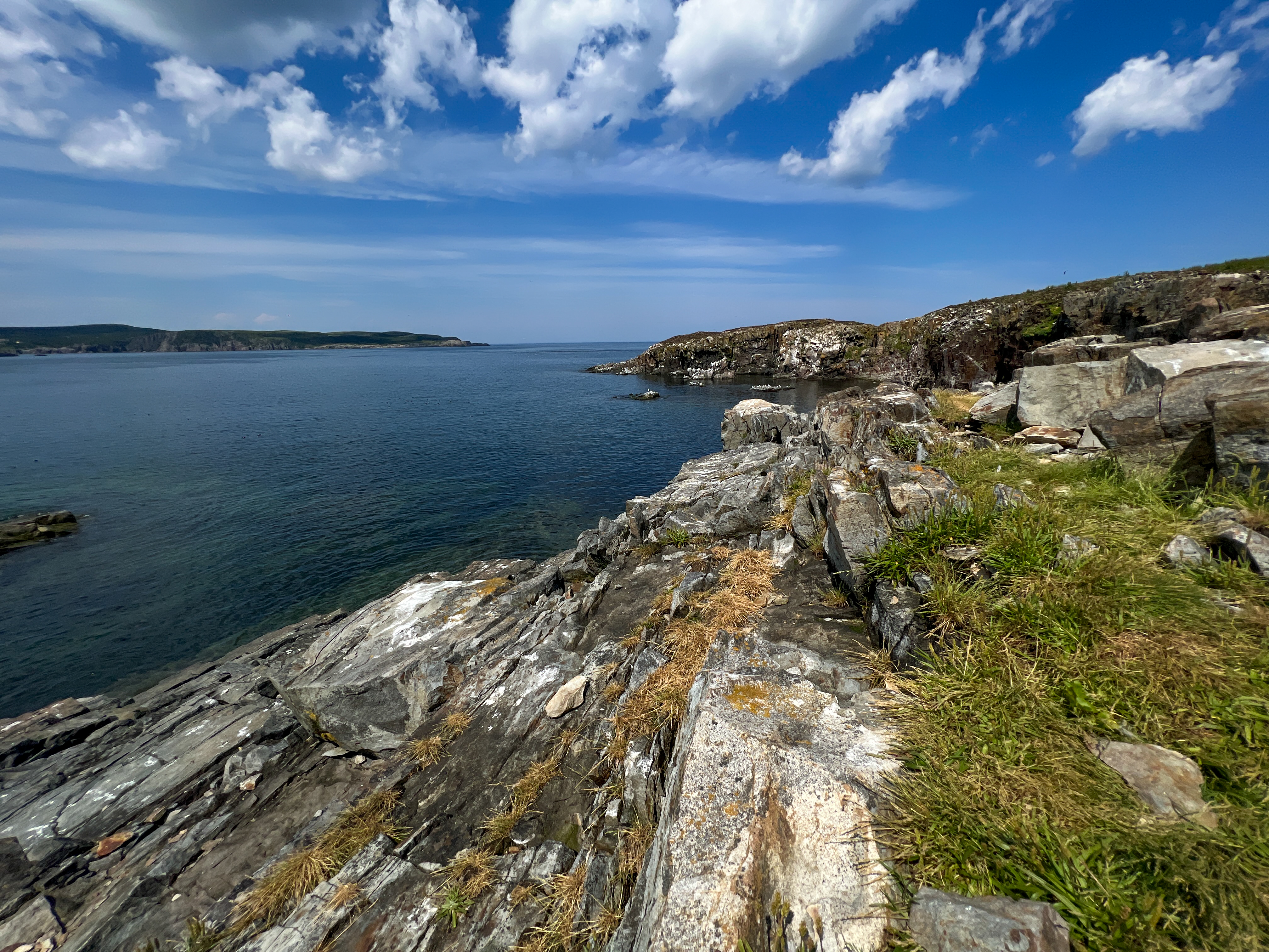 Rocky Coast of Newfoundland