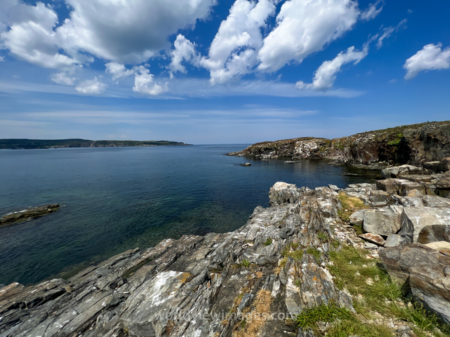 Rocky Coast of Newfoundland