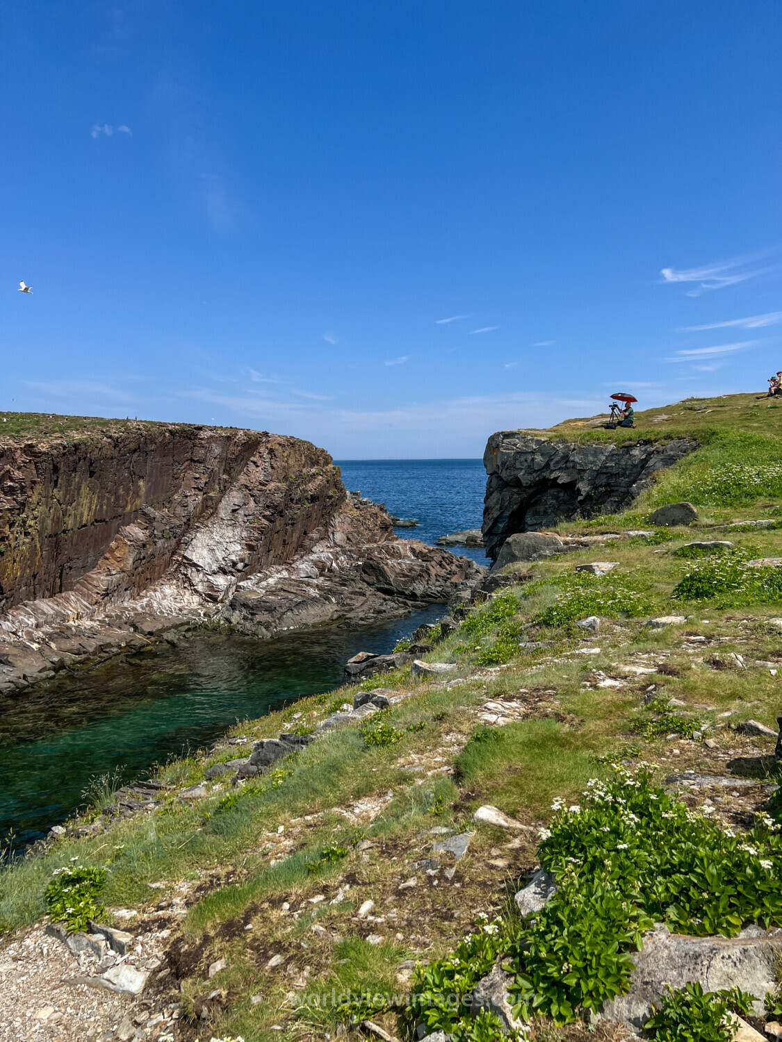 Rocky Coast of Newfoundland