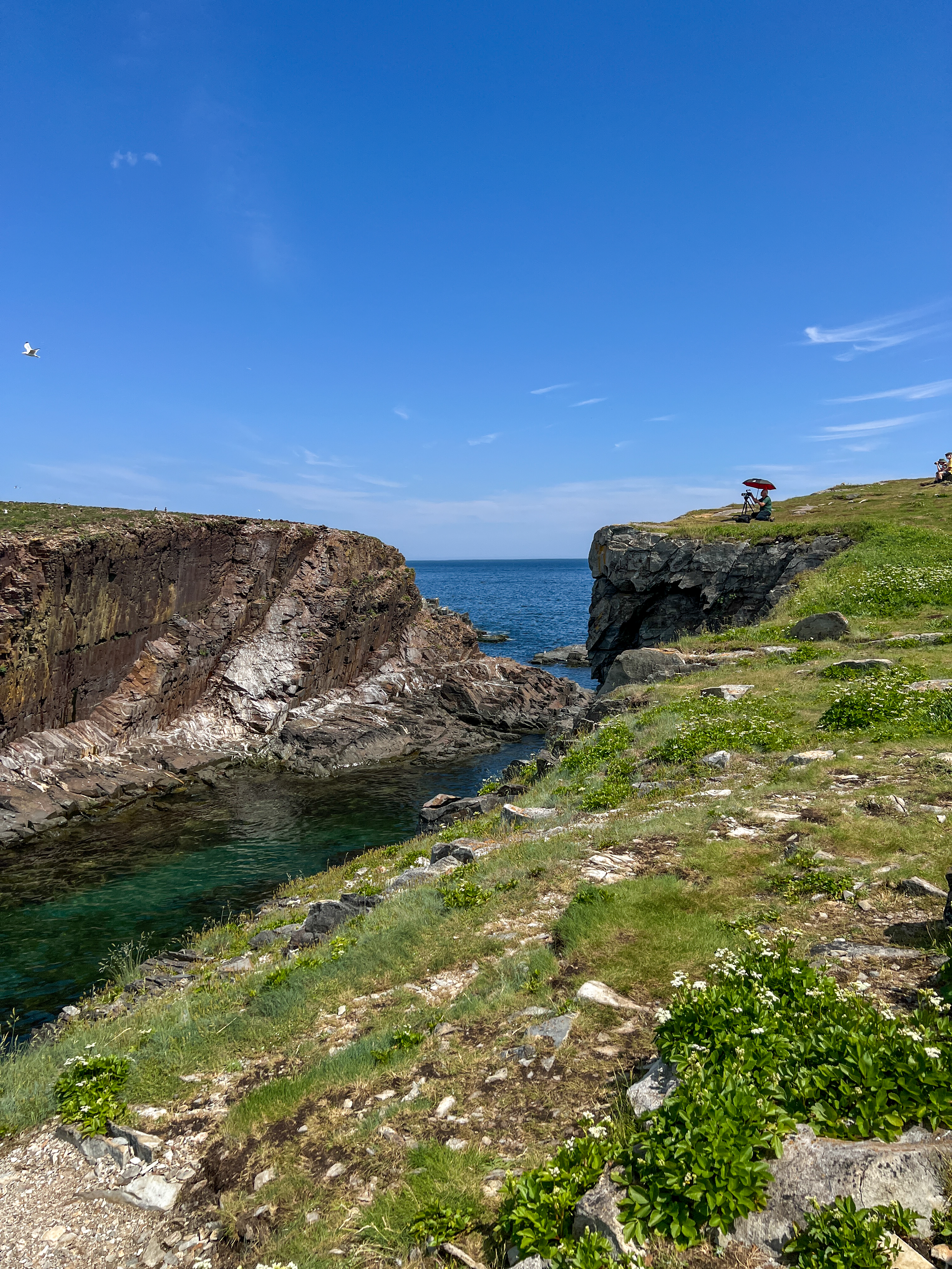 Rocky Coast of Newfoundland