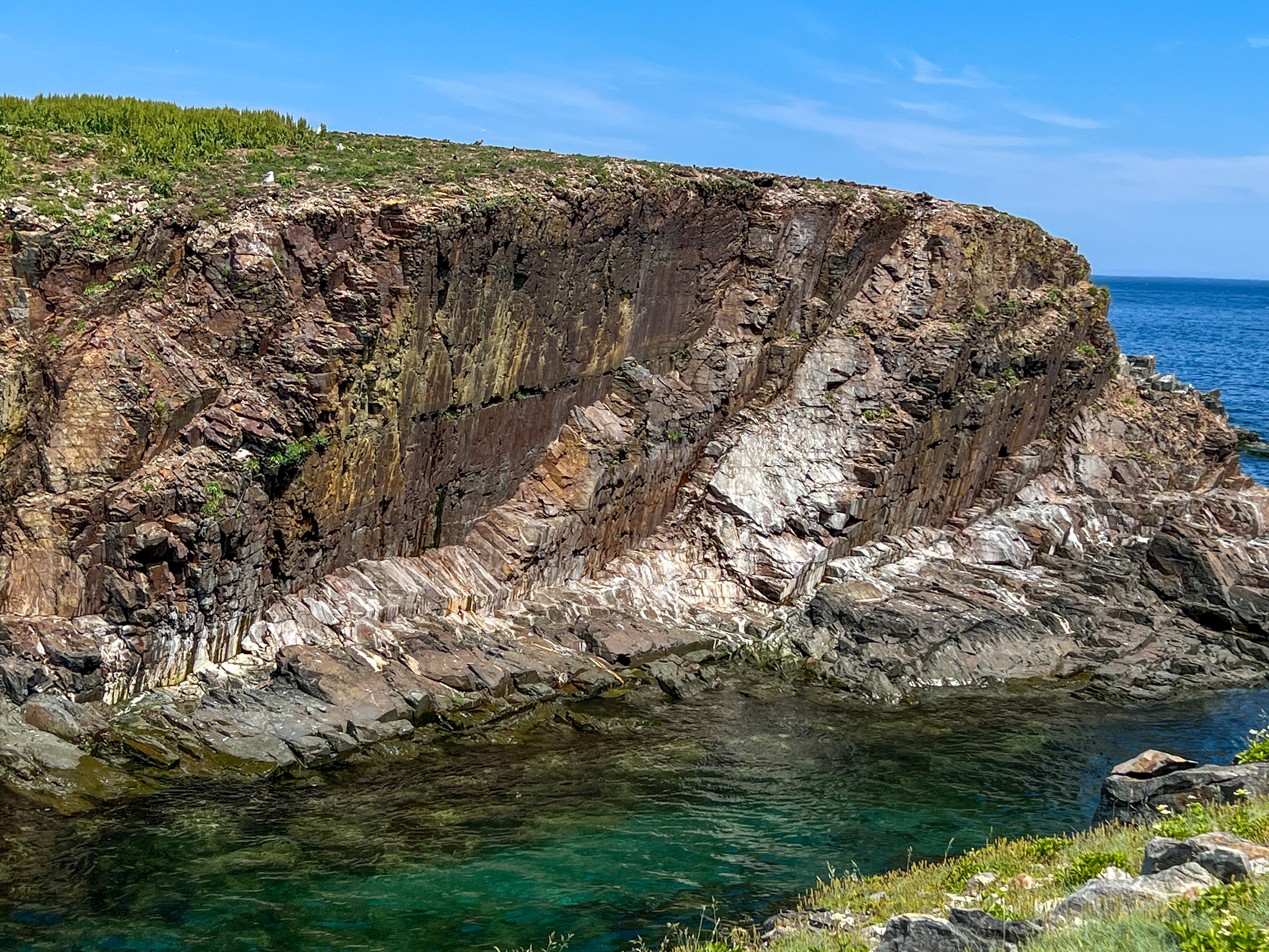 Rocky Coast of Newfoundland