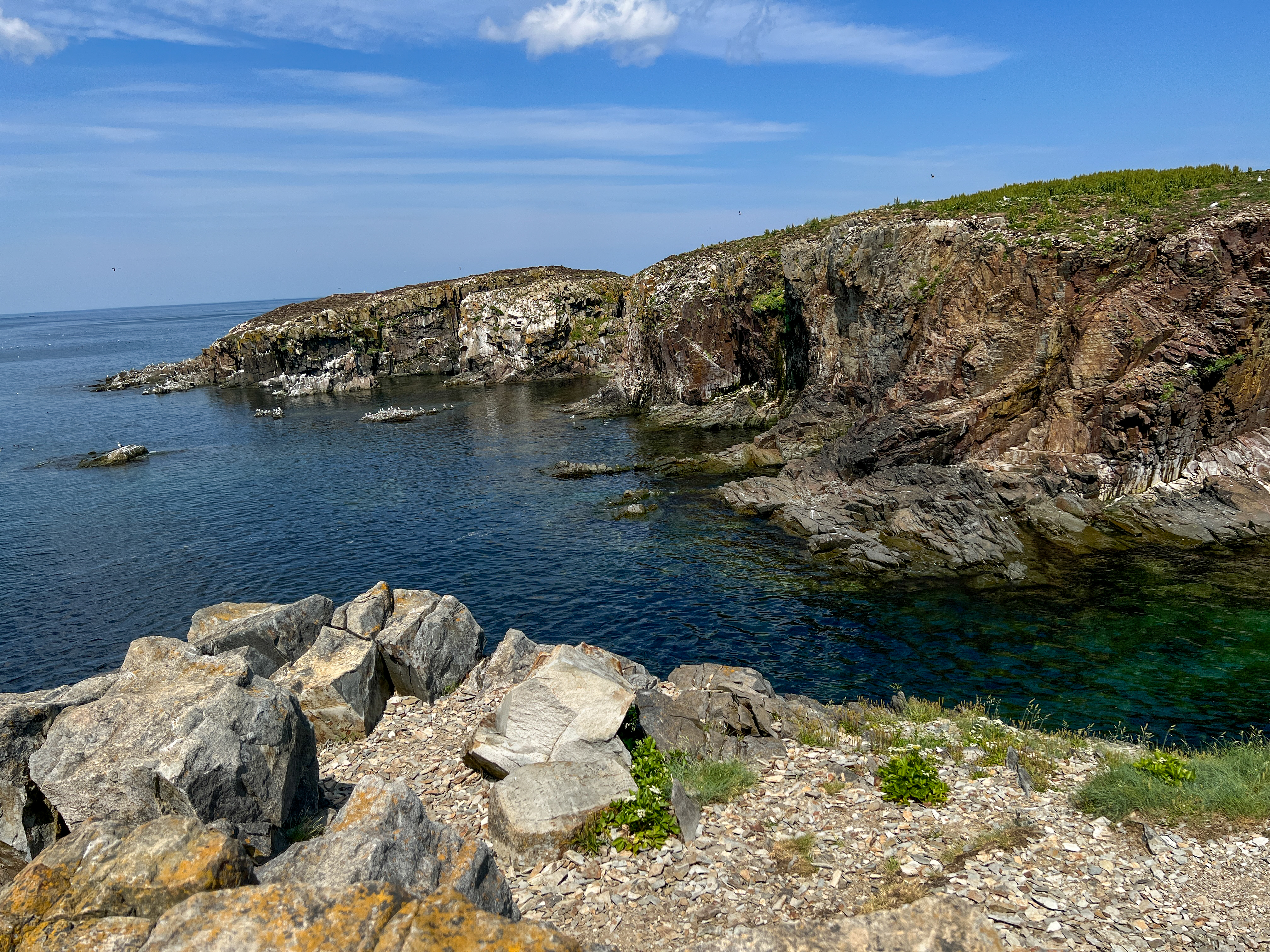 Rocky Coast of Newfoundland
