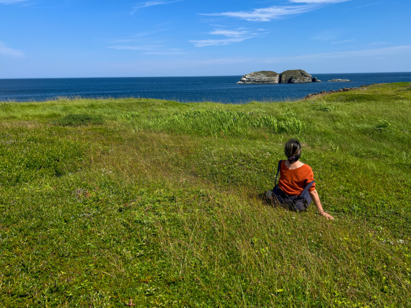 Taking in the Sceneic Beauty of Newfoundland — Beach, Cliff, Colorful, Complementary Colors, Nature