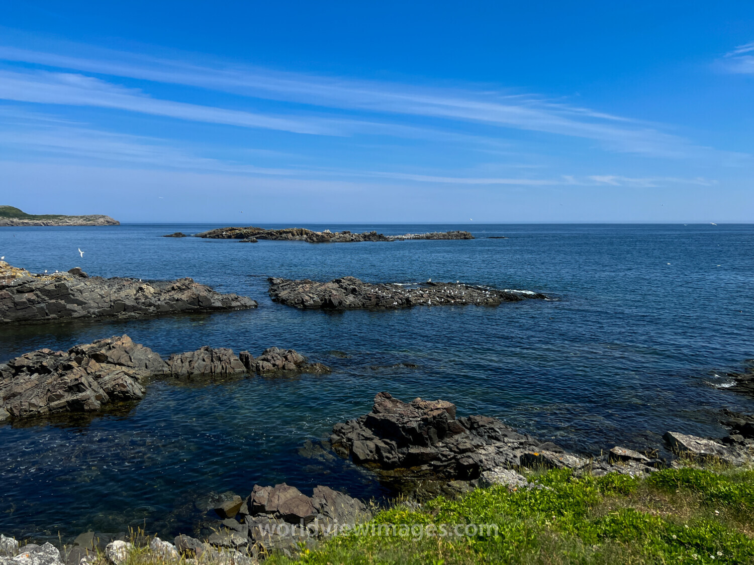 Rocky Coast of Newfoundland