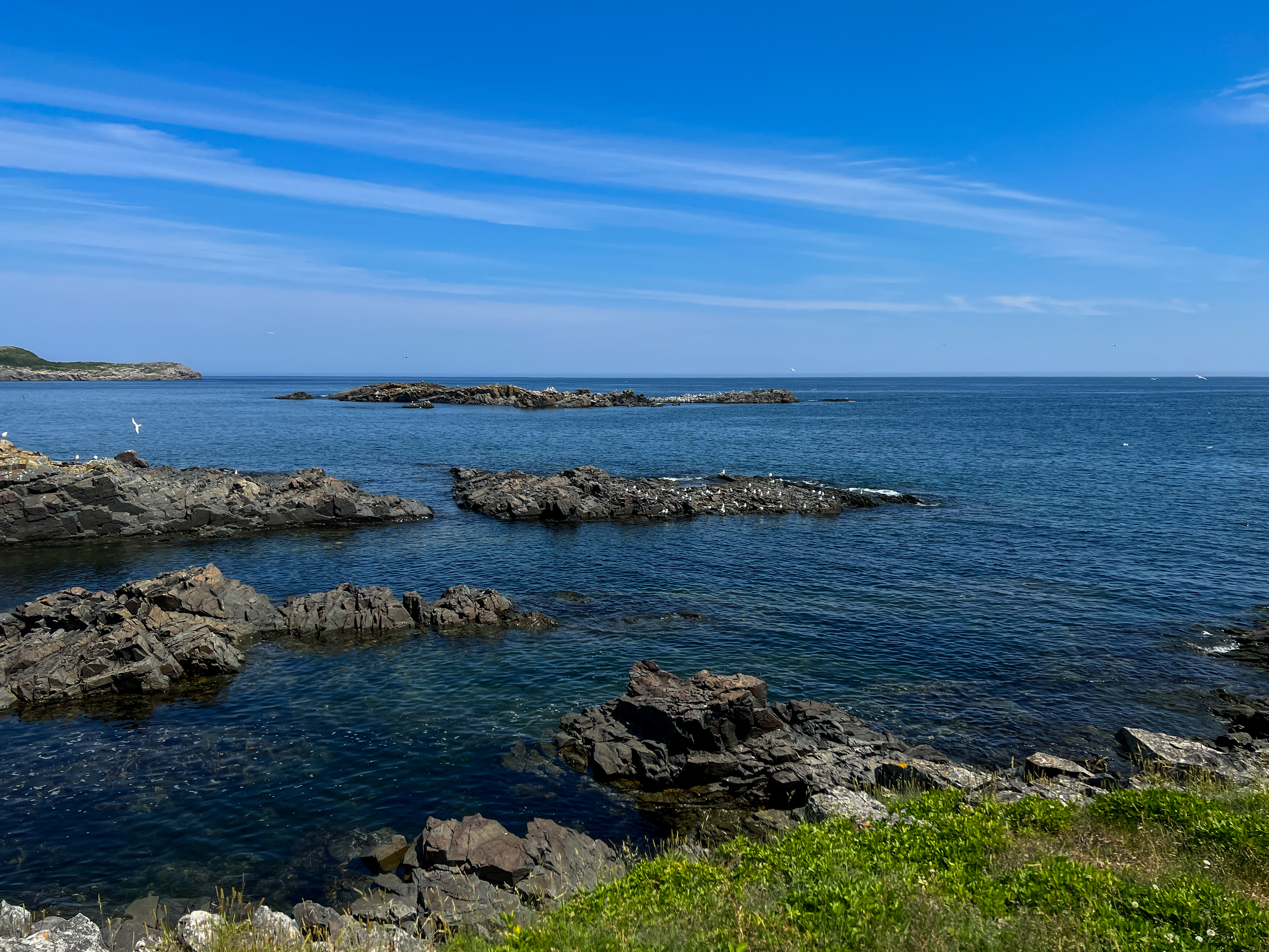 Rocky Coast of Newfoundland