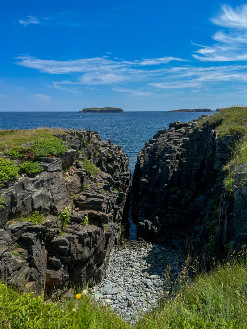 Rocky Coast of Newfoundland — Scenic beauty of the rocky shoreline of Canada's Newfoundland — Beach, Cliff, Nature, Sand, Newfoundland