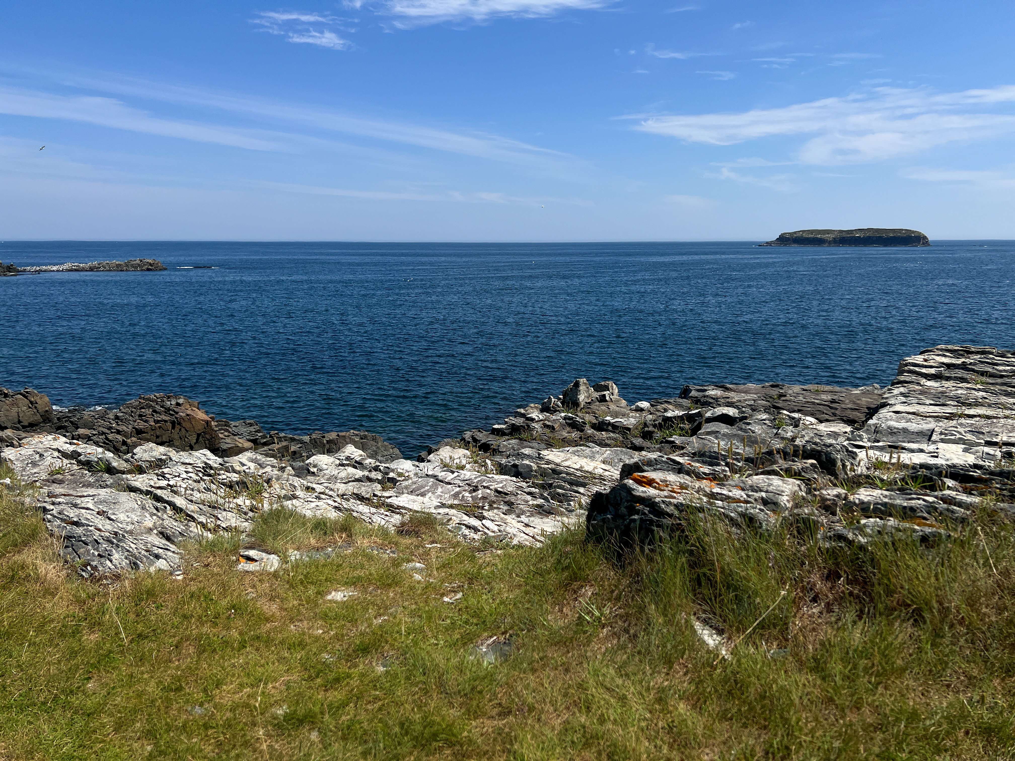 Rocky Coast of Newfoundland