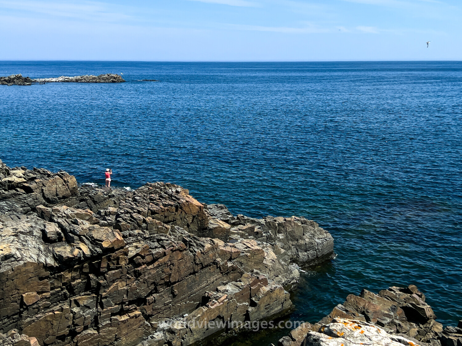 Rocky Coast of Newfoundland