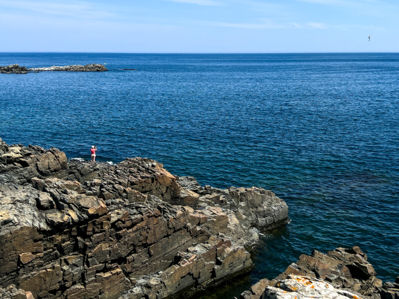 Rocky Coast of Newfoundland — Scenic beauty of the rocky shoreline of Canada's Newfoundland — Beach, Cliff, Nature, Sand, Newfoundland