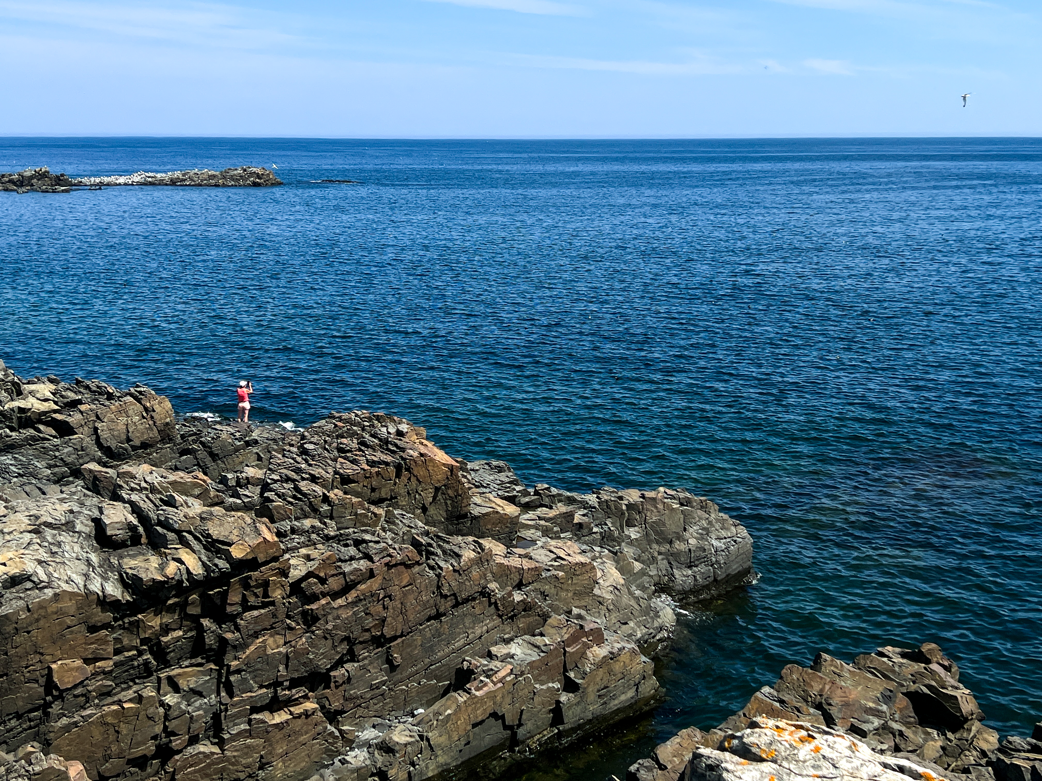 Rocky Coast of Newfoundland