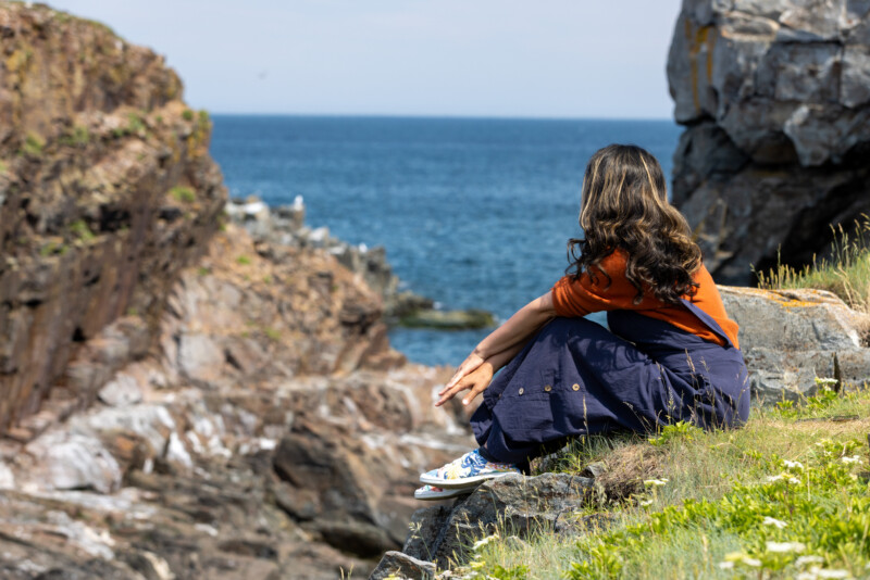 Taking in the Sceneic Beauty of Newfoundland — Cliff, Nature, Person, Newfoundland, Canada