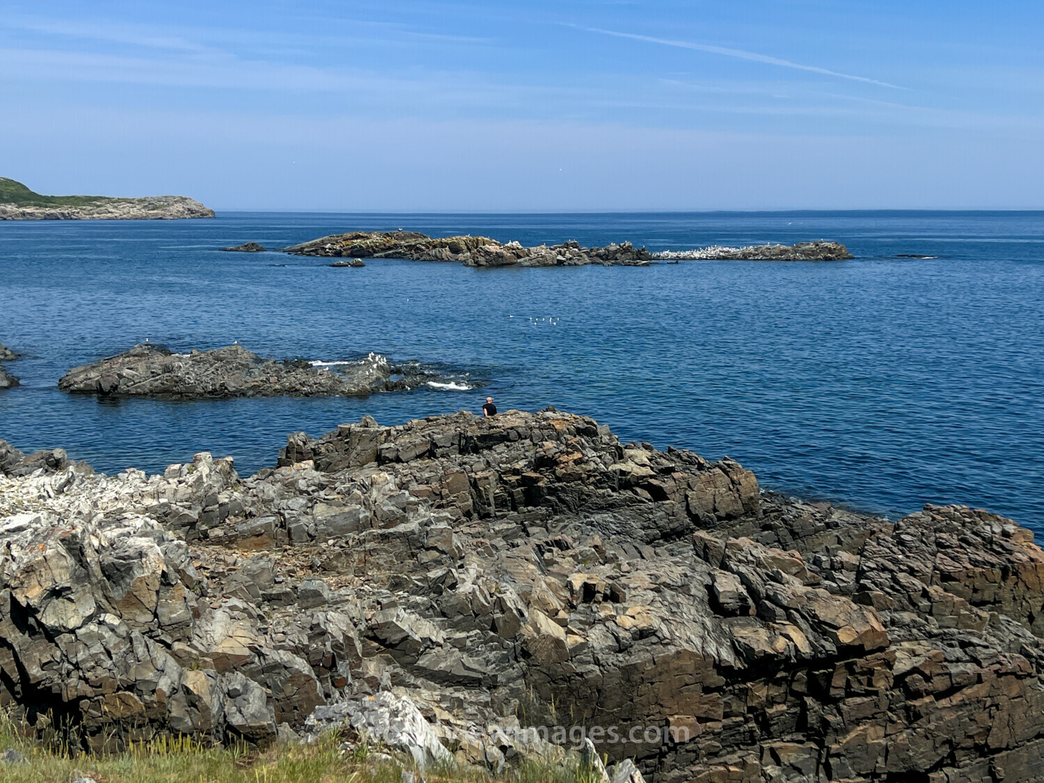Rocky Coast of Newfoundland