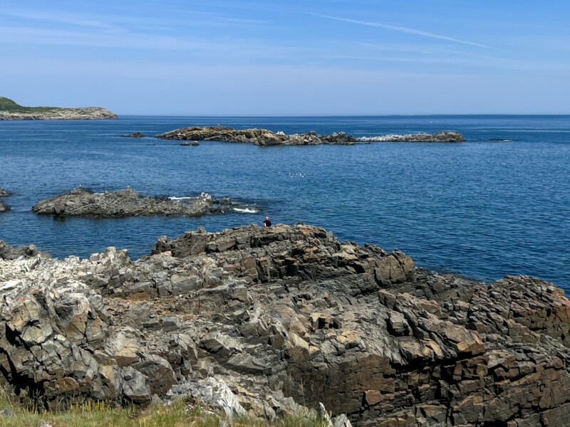 Rocky Coast of Newfoundland — Scenic beauty of the rocky shoreline of Canada's Newfoundland — Beach, Cliff, Nature, Sand, Newfoundland
