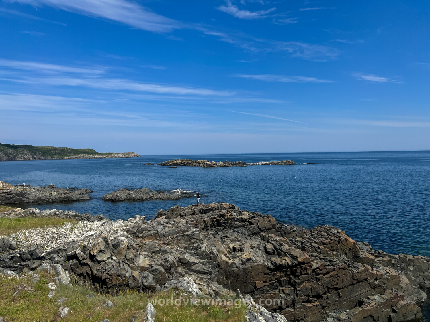 Rocky Coast of Newfoundland
