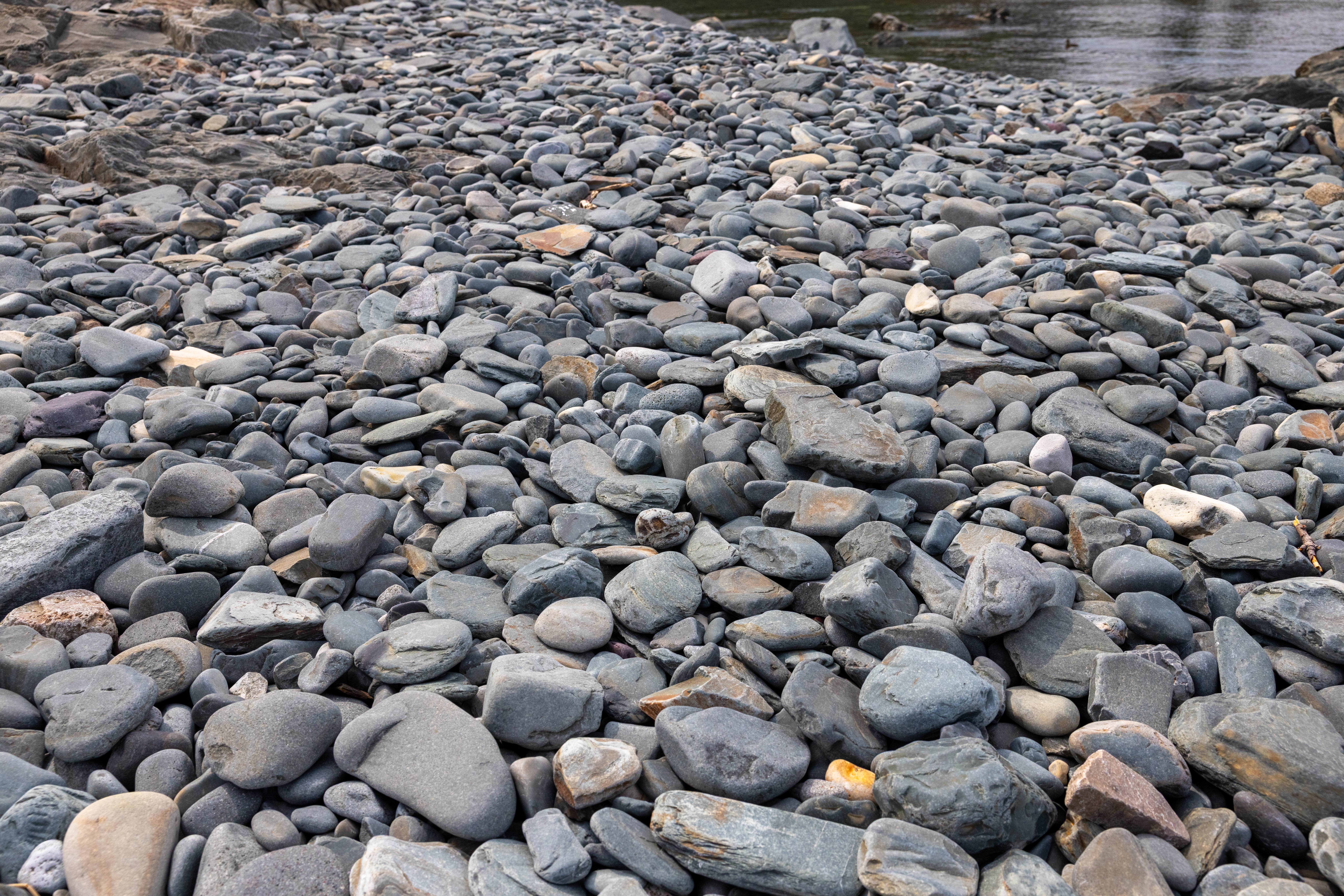 Beach Rocks in Newfoundland