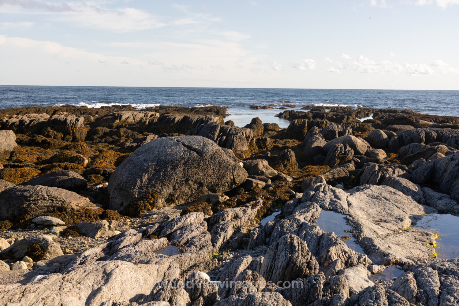 Rocky Coast of Newfoundland
