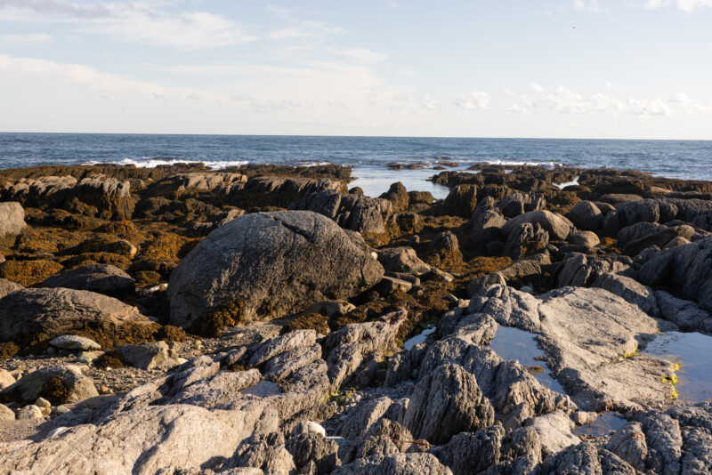 Rocky Coast of Newfoundland — Scenic beauty of the rocky shoreline of Canada's Newfoundland — Beach, Nature, Sand, Newfoundland, Canada